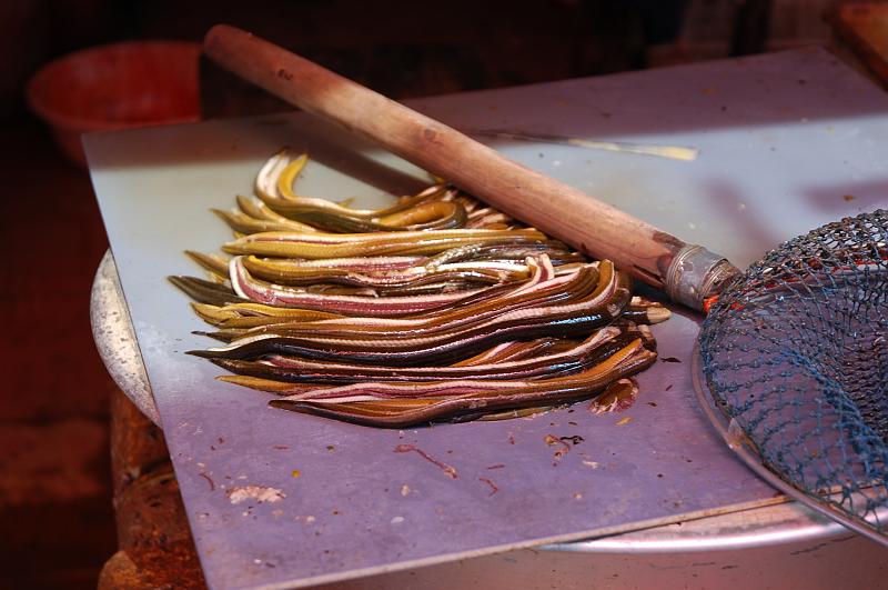 03-Bootsfahrt am Kaiserkanal_081.JPG